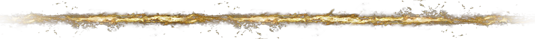 Video Border